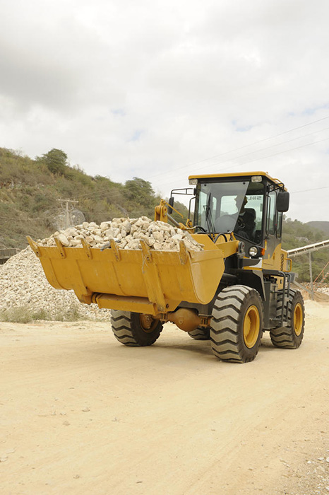 Cargadora SDLG, transportando piedra, vegetación al fondo.