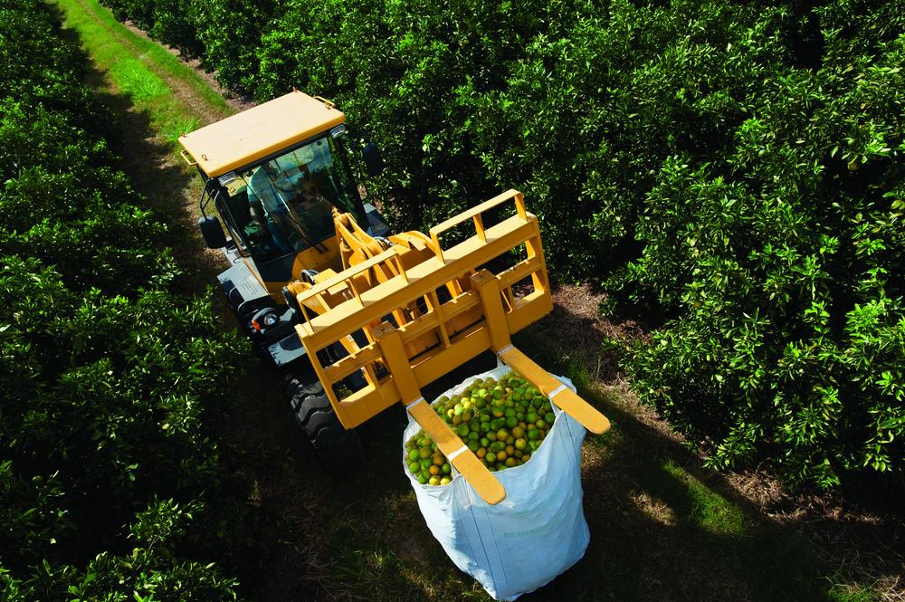 Imagen aérea de una cargadora recogiendo naranjas en medio de la plantación