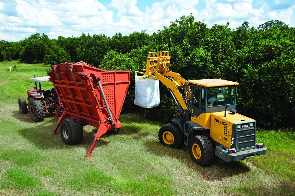 Una cargadora SDLG LG918 transfiriendo la carga naranja a otra máquina roja, al fondo una plantación