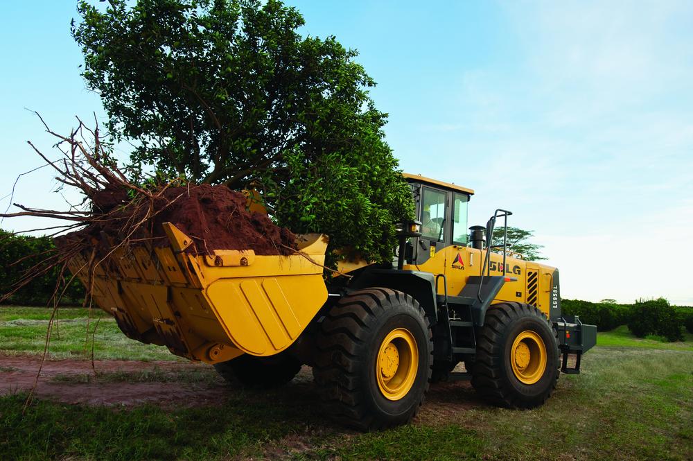 Cargadora SDLG que transporta un árbol y tierra en medio de una plantación verde