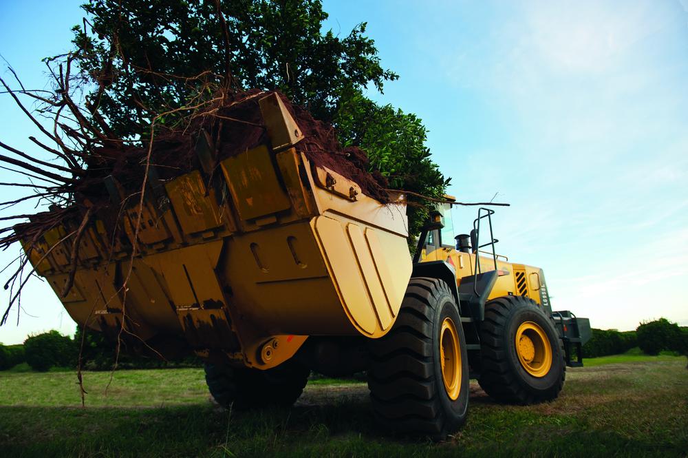 Cargadora SDLG que transporta un árbol y tierra en medio de una plantación verde