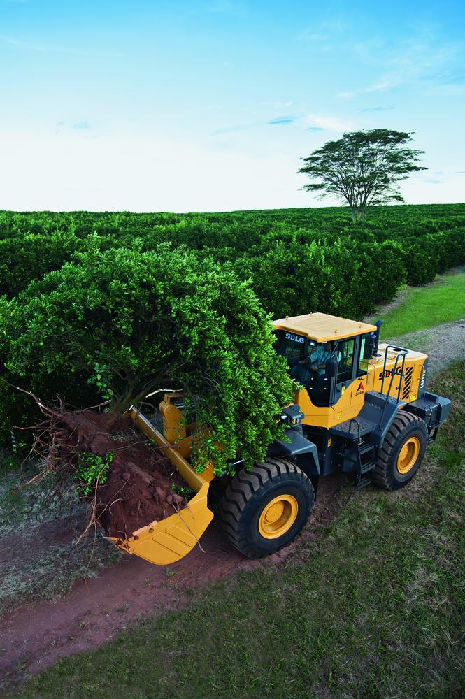 Cargadora SDLG que transporta un árbol y tierra en medio de una plantación verde