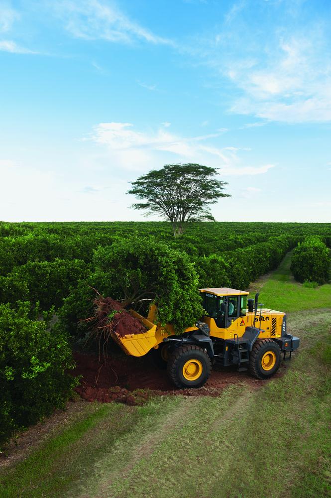 Cargadora SDLG que transporta un árbol y tierra en medio de una plantación verde