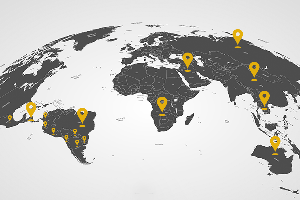 Mapa global indicando os países onde a SDLG atua